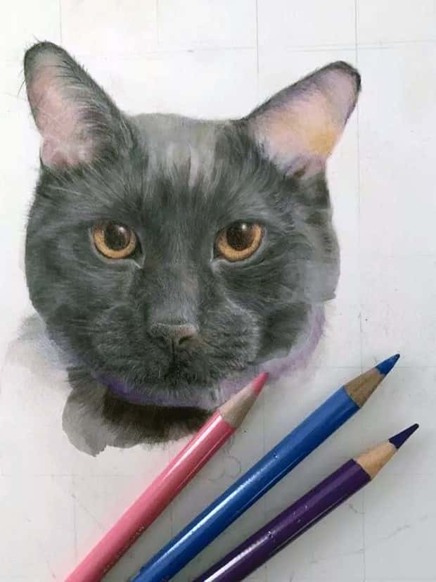 Impressive Achievements That Wow You (30 photos)