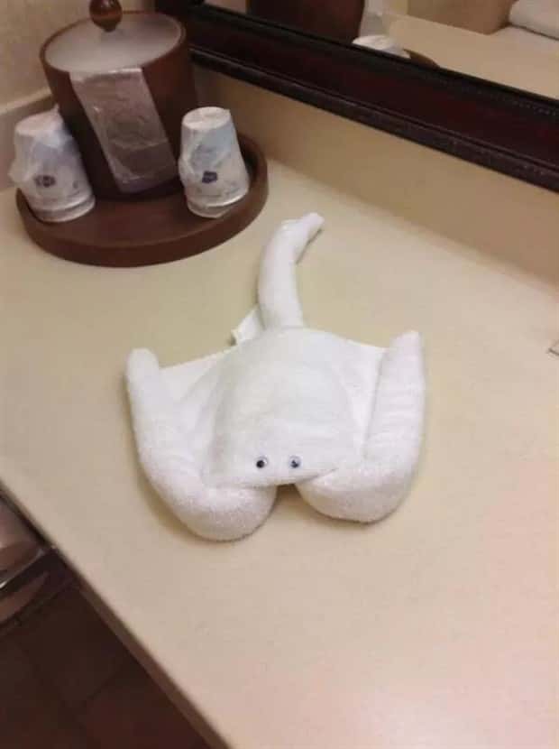 Impressive Achievements That Wow You (30 photos)