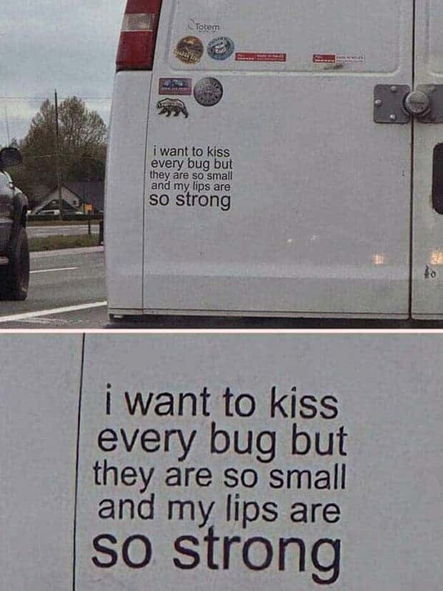 Amusing Attention Grabbing Bumper Stickers (27 photos)