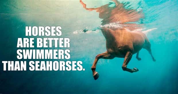 Funny Shower Thoughts #120 (24 photos)