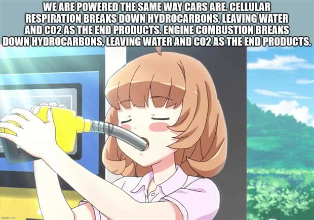 Funny Shower Thoughts #120 (24 photos)