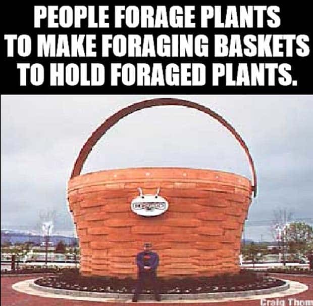 Funny Shower Thoughts #120 (24 photos)