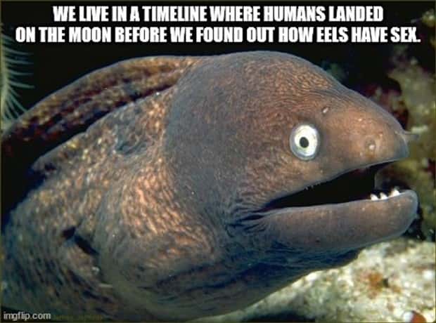 Funny Shower Thoughts #120 (24 photos)