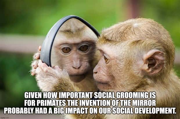 Funny Shower Thoughts #120 (24 photos)