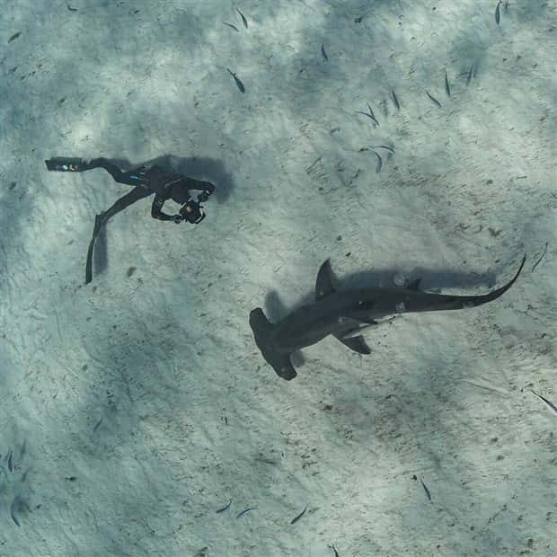 Awesome Pictures You Shouldn’t Miss #121 (22 photos)