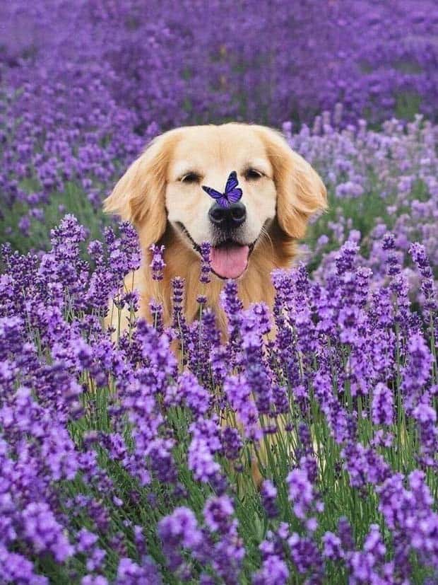 Awesome Pictures You Shouldn’t Miss #119 (26 photos)