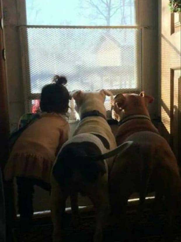 Awesome Pictures You Shouldn’t Miss #119 (26 photos)