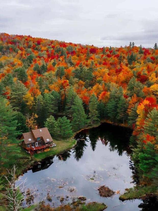 Awesome Pictures You Shouldn’t Miss #119 (26 photos)