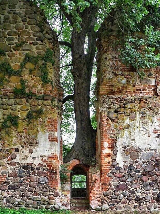 Awesome Pictures You Shouldn’t Miss #119 (26 photos)