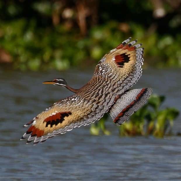 Awesome Pictures You Shouldn’t Miss #117 (23 photos)