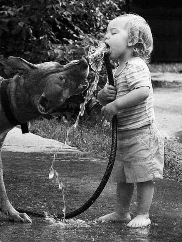 Awesome Pictures You Shouldn’t Miss #119 (26 photos)