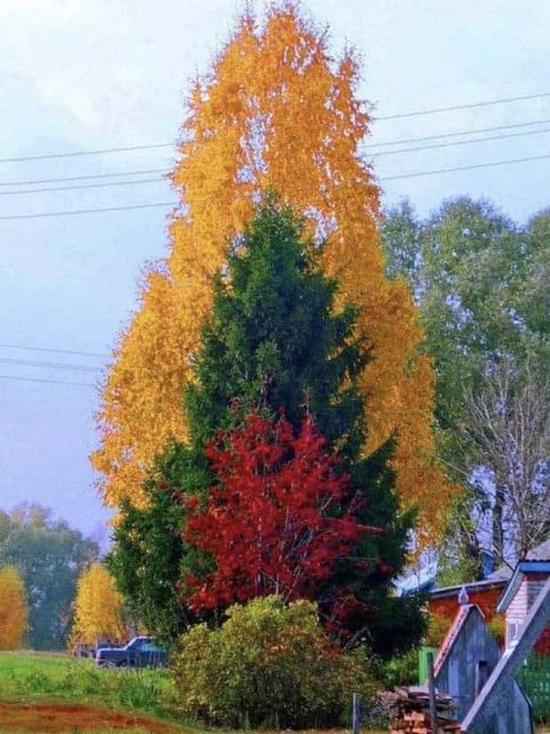 Awesome Pictures You Shouldn’t Miss #121 (22 photos)