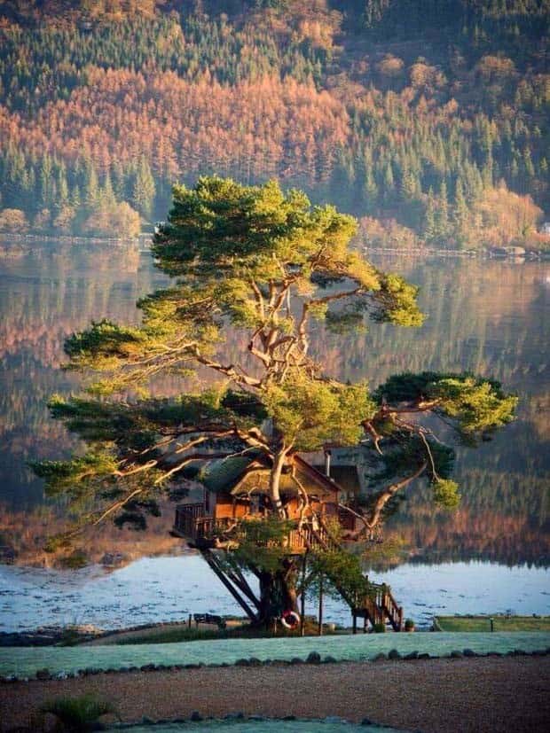 Awesome Pictures You Shouldn’t Miss #121 (22 photos)