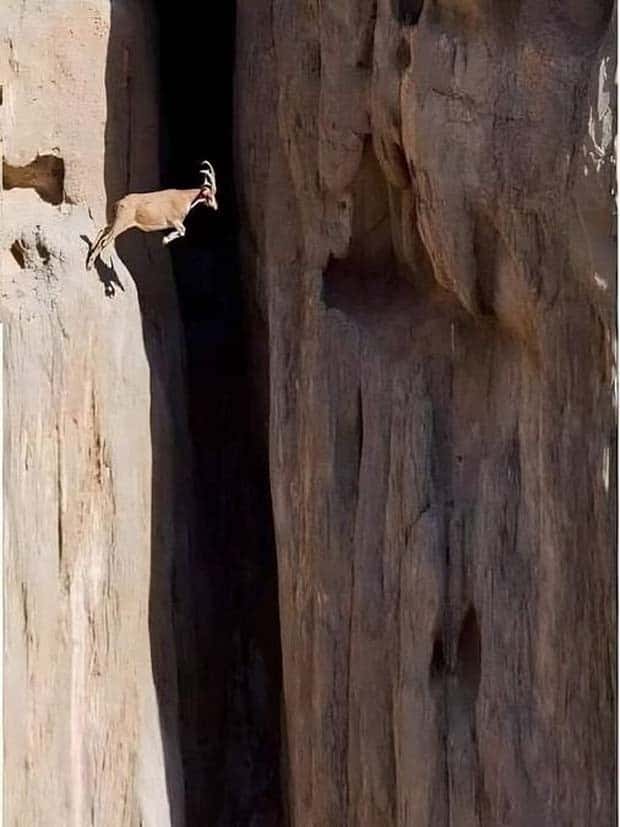 Awesome Pictures You Shouldn’t Miss #117 (23 photos)