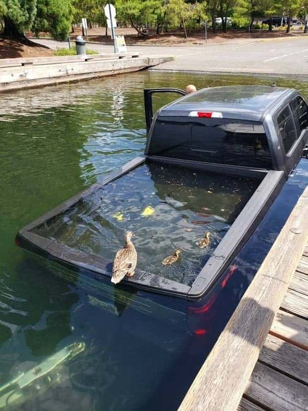 Insane Driving Fails #21 (23 photos)