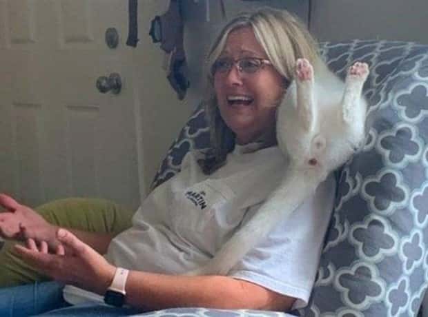 Get Ready for Funny Animals #352 (26 photos)