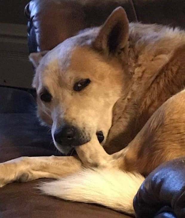 Get Ready for Funny Animals #352 (26 photos)