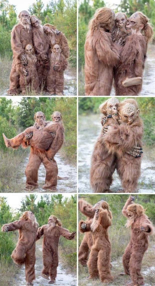 Get Ready for Funny Animals #350 (25 photos)