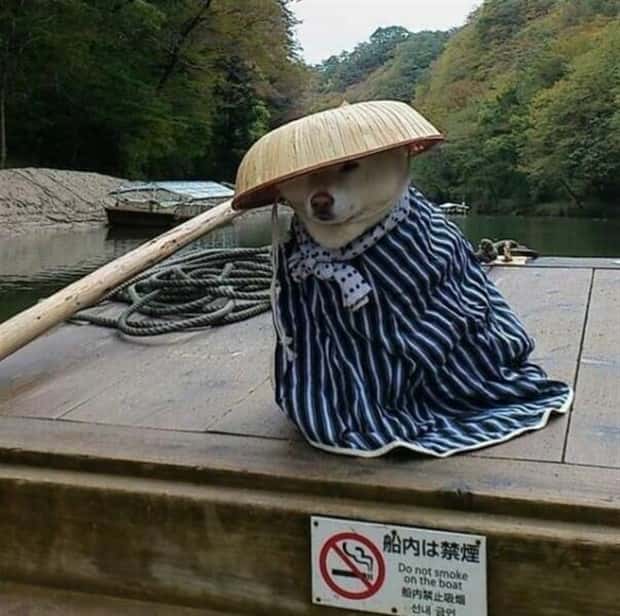 Get Ready for Funny Animals #352 (26 photos)