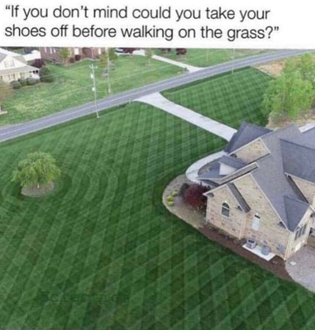 Funny Pics and Memes to Make You Laugh #120 (25 photos)