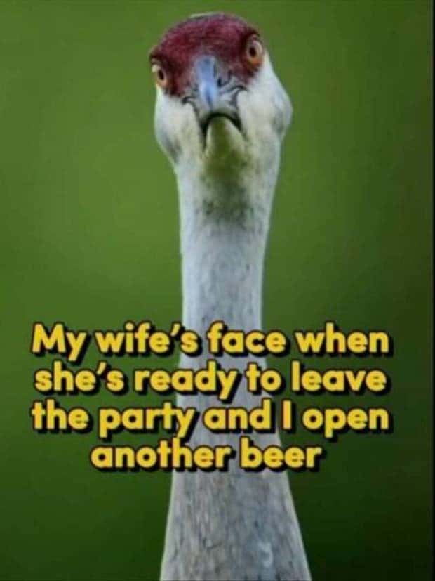 Funny Pics and Memes to Make You Laugh #121 (24 photos)