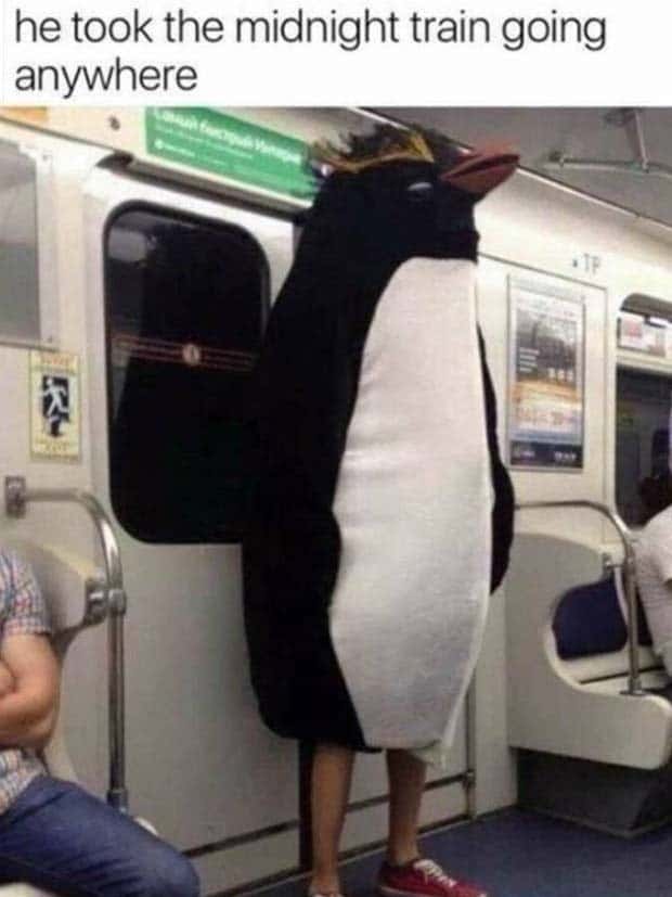 Funny Pics and Memes to Make You Laugh #119 (23 photos)