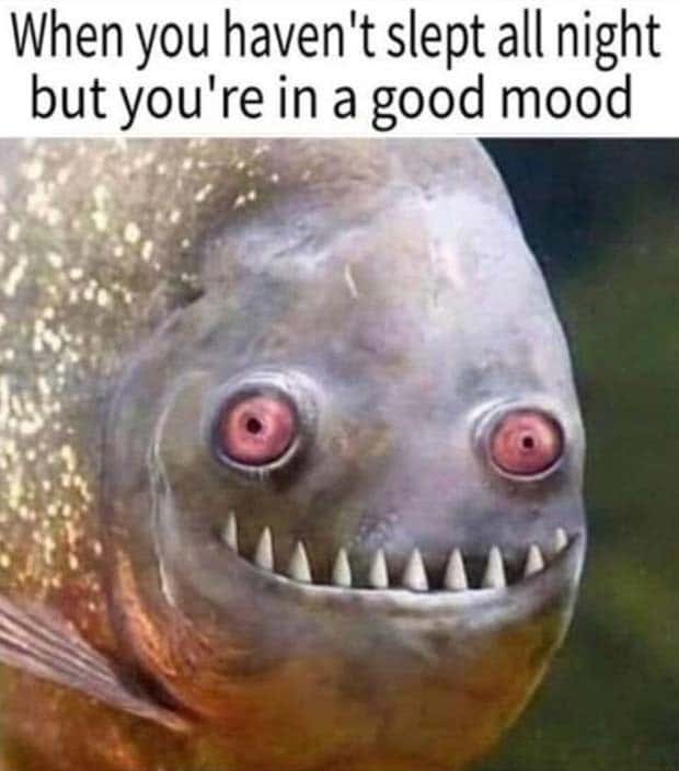 Funny Pics and Memes to Make You Laugh #122 (28 photos)