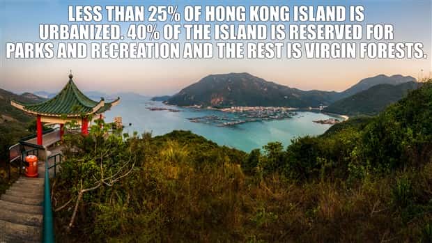 interesting facts 25 It’s Time for Some Cool and Interesting Facts #395 (25 photos)