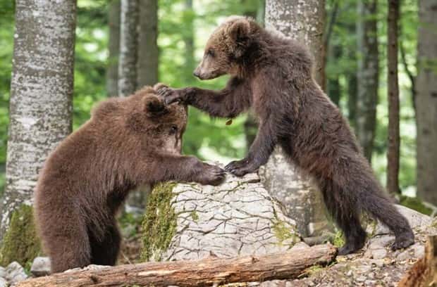 Klyker Picdump #1547 (42 photos)