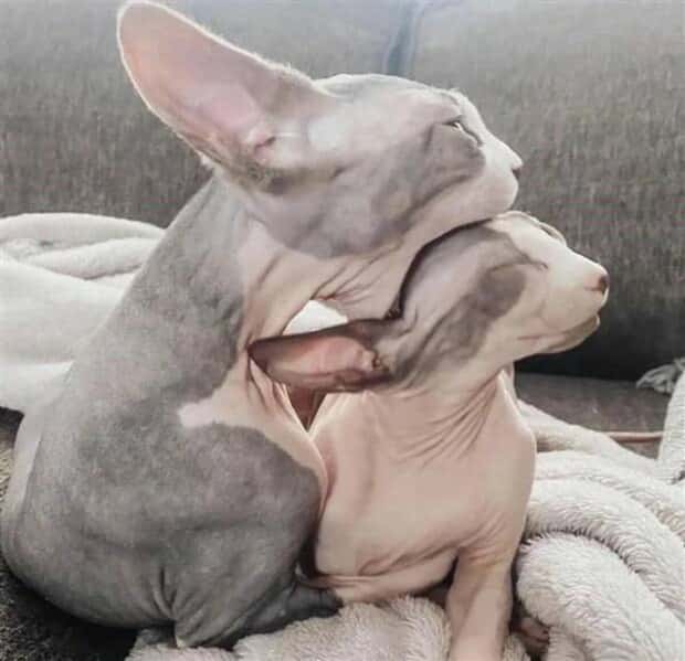 Klyker Picdump #1547 (42 photos)