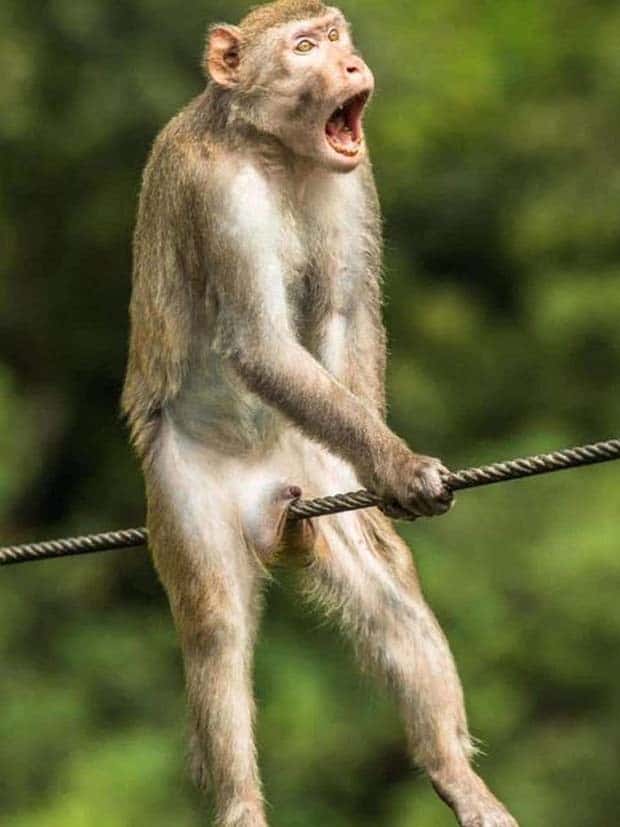 Klyker Picdump #1547 (42 photos)