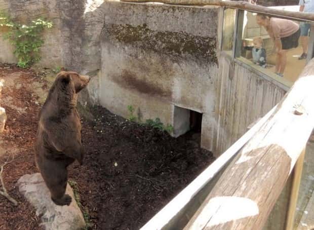 Klyker Picdump #1548 (43 photos)