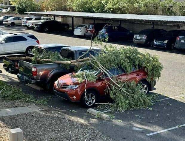 Klyker Picdump #1548 (43 photos)