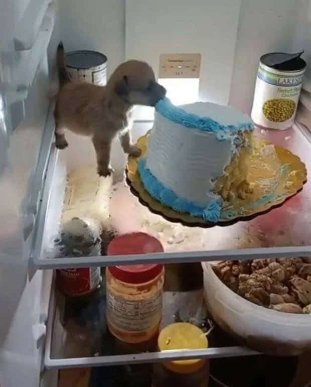 Klyker Picdump #1549 (44 photos)