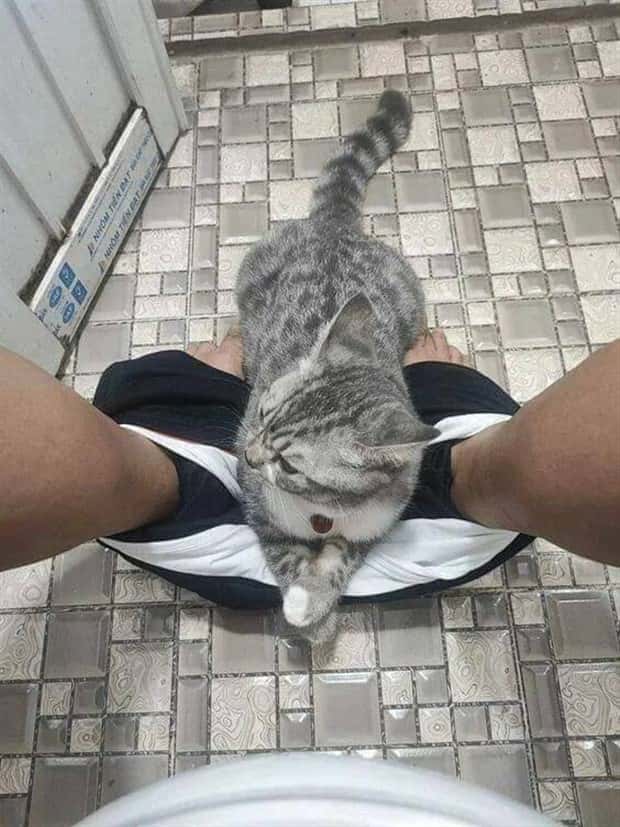 Klyker Picdump #1549 (44 photos)