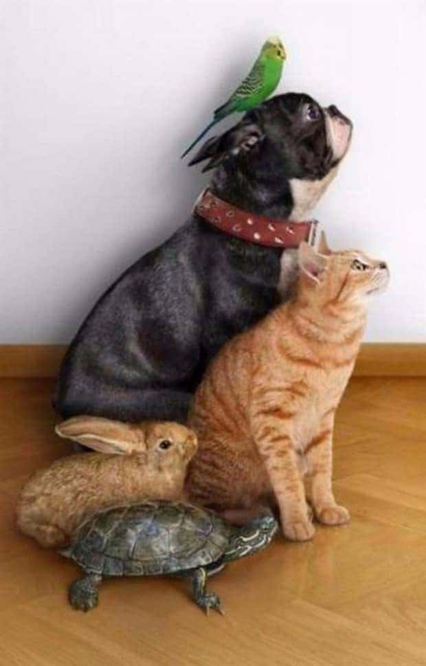 Klyker Picdump #1549 (44 photos)