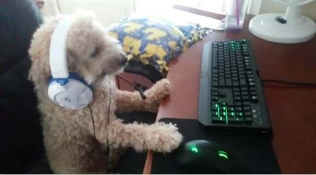 Klyker Picdump #1550 (45 photos)