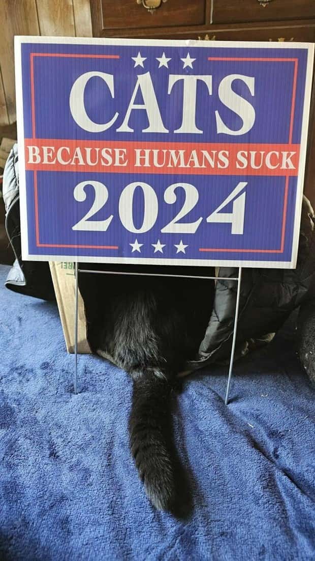 Klyker Picdump #1550 (45 photos)