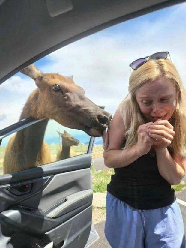 klyker picdump 9 16 2024 12 Klyker Picdump #1551 (41 photos)