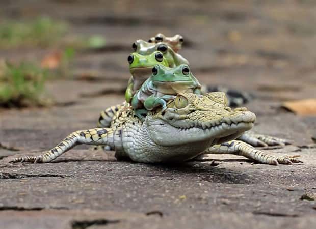 klyker picdump 9 16 2024 29 Klyker Picdump #1551 (41 photos)