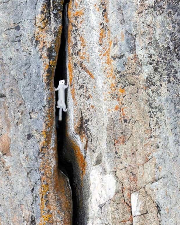 klyker picdump 9 16 2024 34 Klyker Picdump #1551 (41 photos)