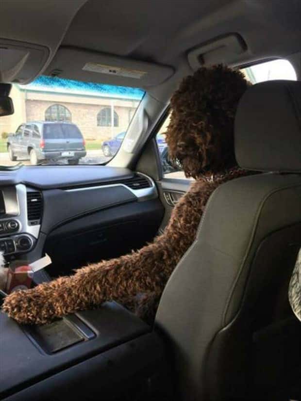 klyker picdump 9 16 2024 40 Klyker Picdump #1551 (41 photos)