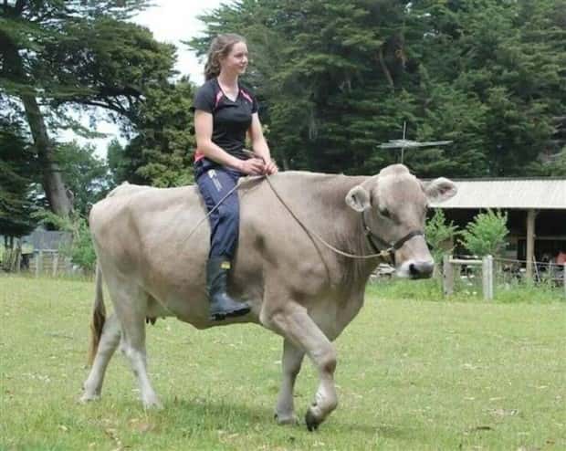 klyker picdump 9 16 2024 8 Klyker Picdump #1551 (41 photos)