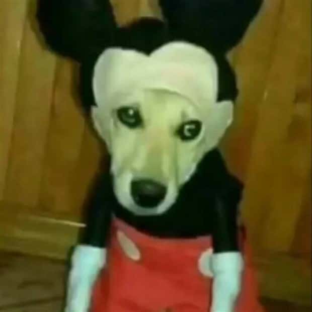 klyker picdump 9 16 2024 9 Klyker Picdump #1551 (41 photos)