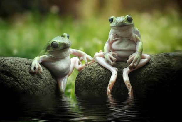 Klyker Picdump #1552 (42 photos)