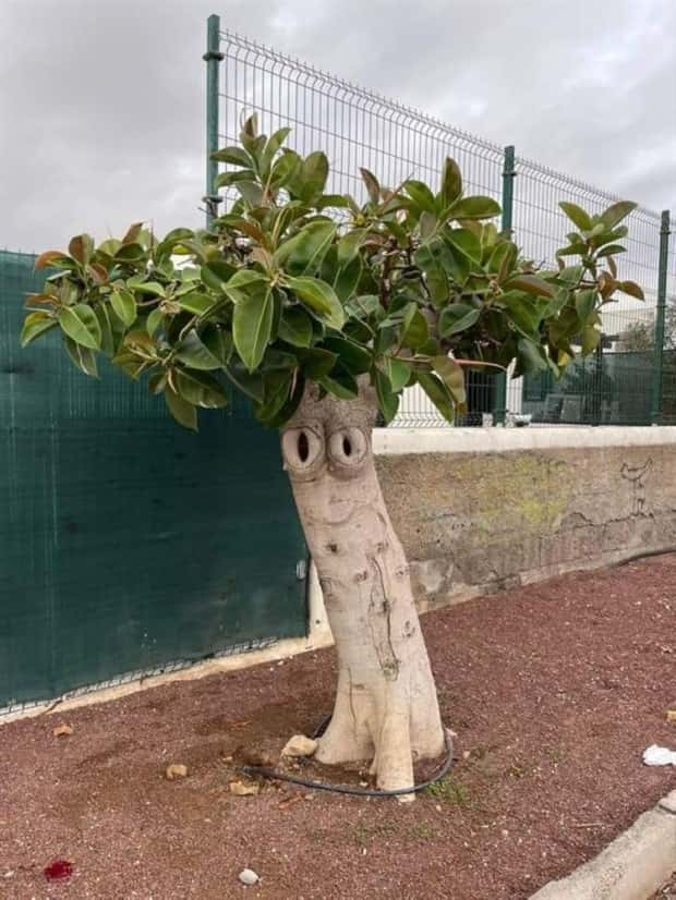 Klyker Picdump #1552 (42 photos)