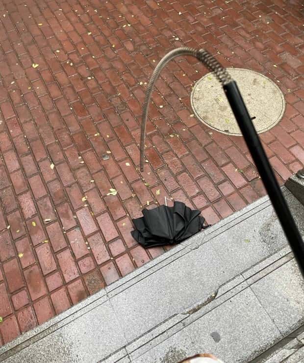 Klyker Picdump #1552 (42 photos)