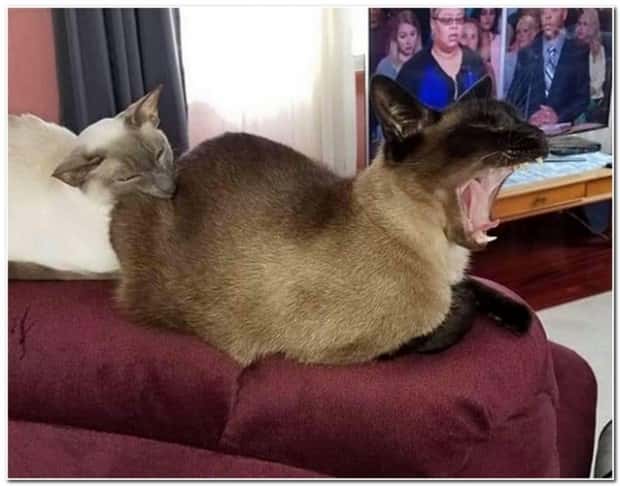 Klyker Picdump #1552 (42 photos)