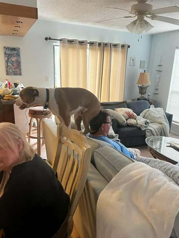 Klyker Picdump #1552 (42 photos)