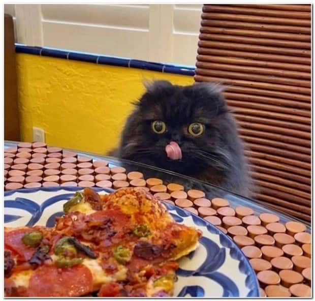 Klyker Picdump #1552 (42 photos)